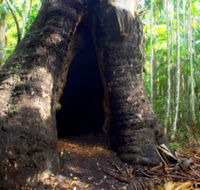 Tewantin National Park - Accommodation in Brisbane
