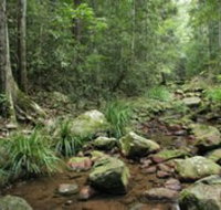 Amamoor State Forest - Accommodation in Brisbane