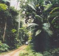 Conondale Great Walk - Accommodation in Brisbane