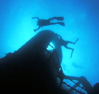 Ex HMAS Brisbane Dive Site - Accommodation in Brisbane