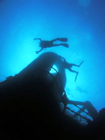 Ex HMAS Brisbane Dive Site - Accommodation in Brisbane 0