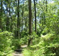 Mapleton Falls National Park - Accommodation in Brisbane