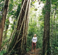 Wet Tropics - Accommodation in Brisbane