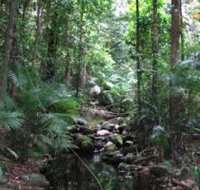 Mossman Gorge Rainforest Circuit Track Daintree National Park - Accommodation in Brisbane