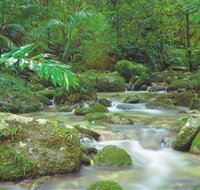 Mossman Gorge Daintree National Park - Accommodation in Brisbane