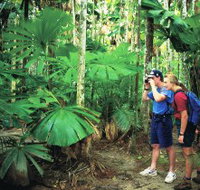 Mount Sorrow Ridge Trail Daintree National Park - Accommodation in Brisbane