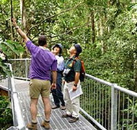 Daintree Discovery Centre - Accommodation in Brisbane