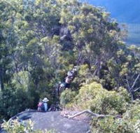 Mia Mia State Forest - Accommodation in Brisbane
