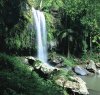 Curtis Falls Joalah Section - Accommodation in Brisbane