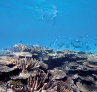 Australian Institute of Marine Science - Accommodation in Brisbane