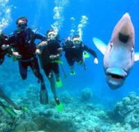 Gotham City Dive Site - Accommodation in Brisbane