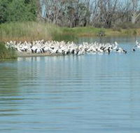 Lake Ross - Accommodation in Brisbane