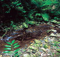 Wompoo Walk - Accommodation in Brisbane