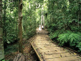 Malanda QLD Accommodation in Brisbane