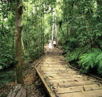 Lake Barrine Circuit Track Crater Lakes National Park - Accommodation in Brisbane