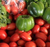 Burleigh Heads Markets - Accommodation in Brisbane