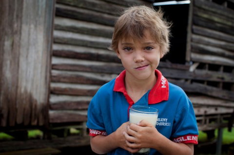 Maleny Dairies - Accommodation in Brisbane 2