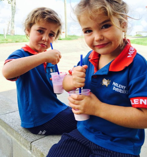 Maleny Dairies - Accommodation in Brisbane 3