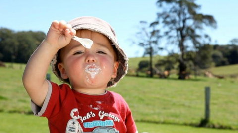 Maleny Dairies - Accommodation in Brisbane 5