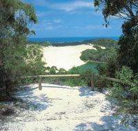 Lake Wabby Track - Accommodation in Brisbane