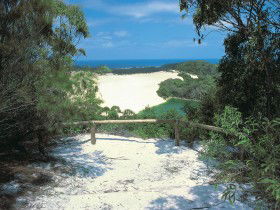 Lake Wabby Track - Accommodation in Brisbane 0