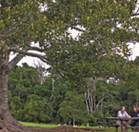 Ravensbourne National Park - Accommodation in Brisbane