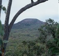 Mount Fox - Accommodation in Brisbane