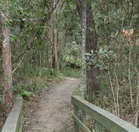 Springwood Conservation Park - Accommodation in Brisbane