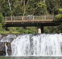 Malanda Falls Conservation Park - Accommodation in Brisbane