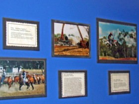Town Hall Photographic Display - Accommodation in Brisbane 0