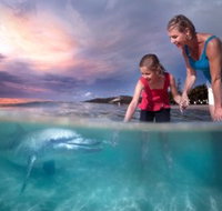 Tangalooma Island Resort - Accommodation in Brisbane
