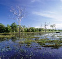 Tyto Wetlands - Accommodation in Brisbane