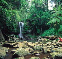 Tamborine National Park - Accommodation in Brisbane