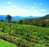 Preston Peak Wines - Accommodation in Brisbane