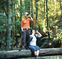Birdwatching on the Fraser Coast - Accommodation in Brisbane