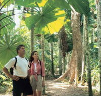 Licuala State Forest - Accommodation in Brisbane