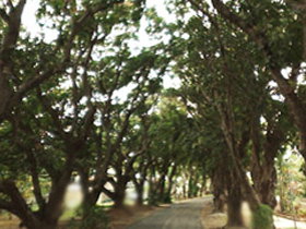 Eimeo QLD Accommodation in Brisbane