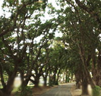 Mango Avenue - Accommodation in Brisbane
