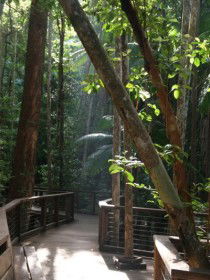 Basin Lake Track - Accommodation in Brisbane 0