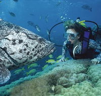 Pelorus Island - Accommodation in Brisbane