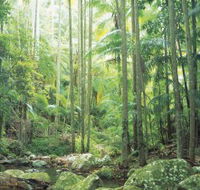 Python Rock - Accommodation in Brisbane