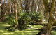 Arkarra Lagoons And Tea Gardens - thumb 0