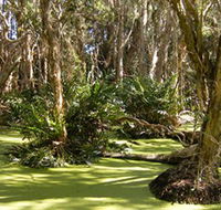 Arkarra Lagoons and Tea Gardens - Accommodation in Brisbane