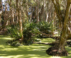 Arkarra Lagoons And Tea Gardens - Accommodation in Brisbane 0
