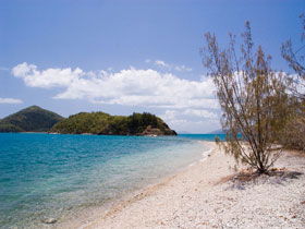 Paddle Bay Track And Campsite - Accommodation in Brisbane 0