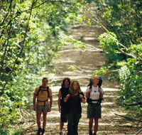 Wet Tropics Great Walk - Accommodation in Brisbane