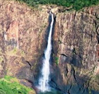 Buujan Quiinbiira Walk Wet Tropics Great Walk - Accommodation in Brisbane
