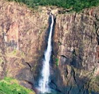 Gugigugi Butterfly Walk Wet Tropics Great Walk - Accommodation in Brisbane