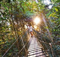 Tree Top Walkway - Accommodation in Brisbane