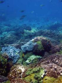 Bargara QLD Accommodation in Brisbane